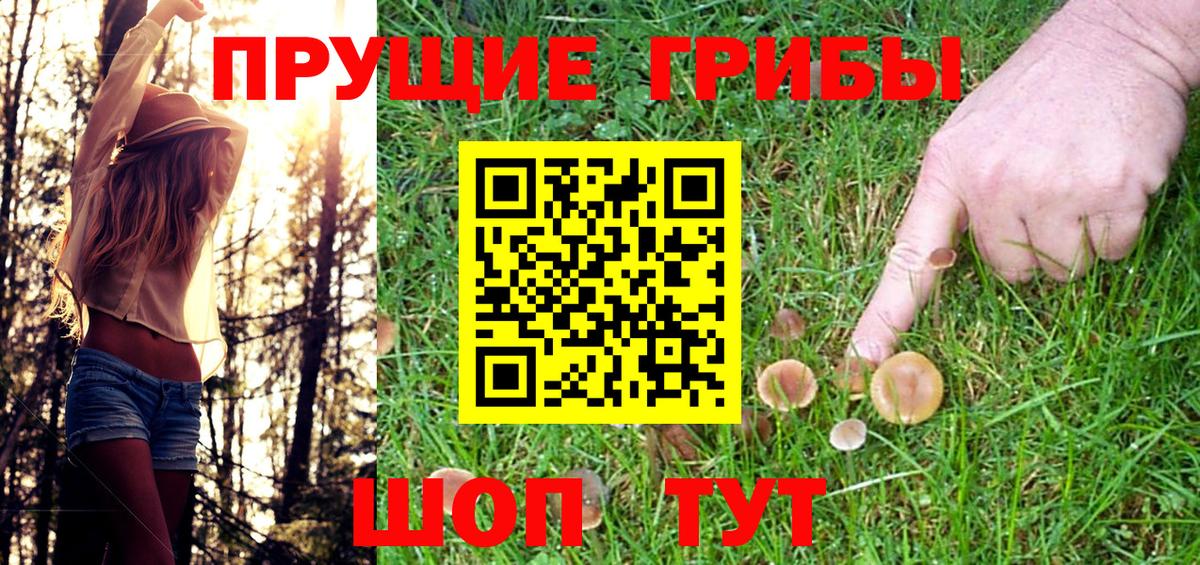 Клинцы  Псилоцибиновые грибы прущие грибы  Псилоцибиновые грибы Psilocybine cubensis  что такое   Вход с VPN 