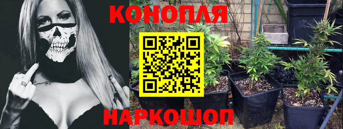 Бошки Шишки индика  Вход с VPN  Бошки марихуана семена  Клинцы 